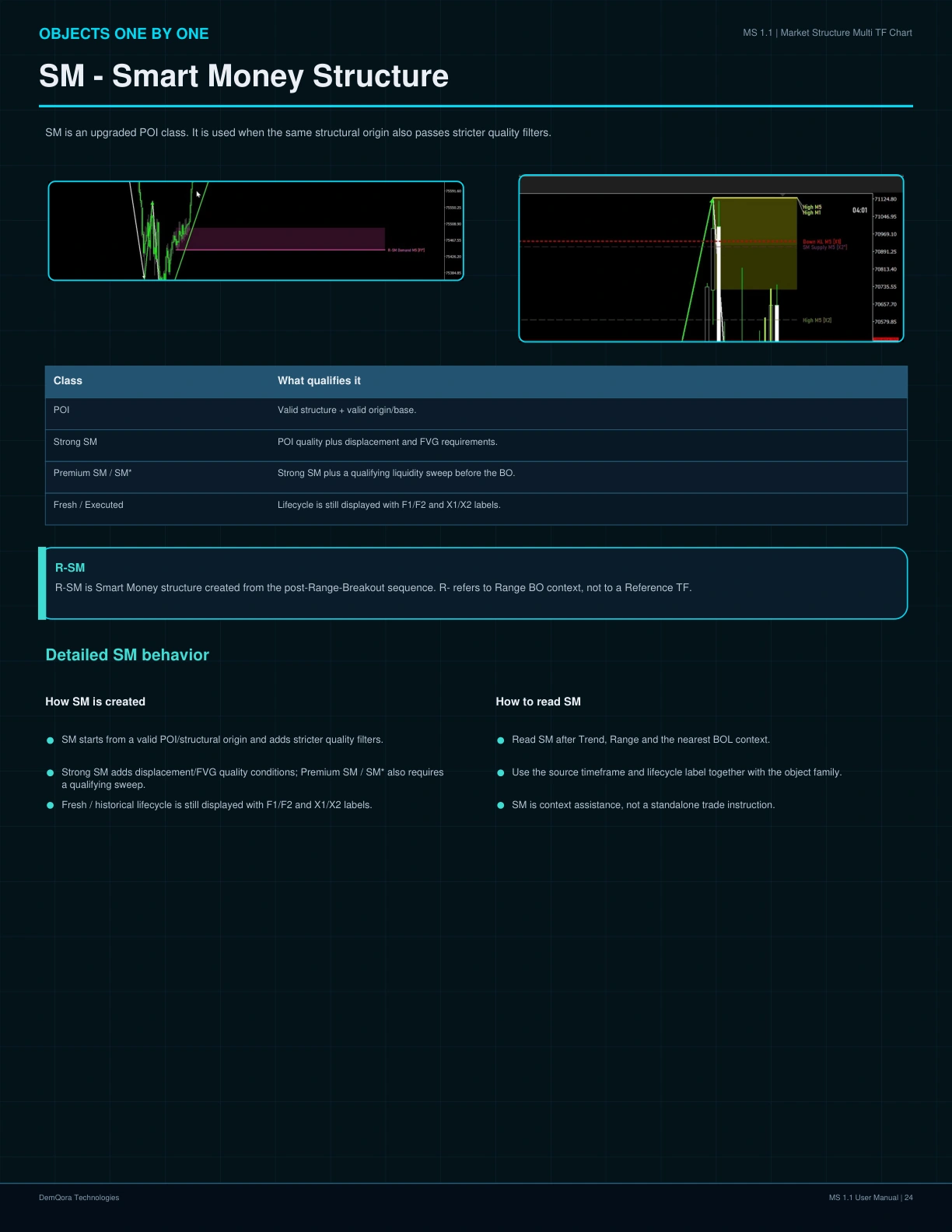MS 1.1 User Manual page 24